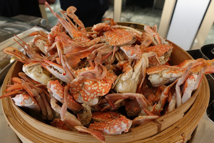 2x Bild Wandtafel Tafel Lobster Krebs crab Holzbild Wandbild Restaurant Seafood